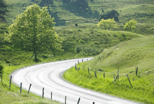 Country road, Osterlen, Skane, Sweden.