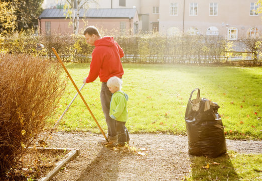 A man and his son  raking leaves, Stockholm, Sweden.