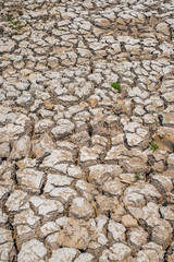 Soil water deficit