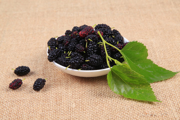Mulberry
