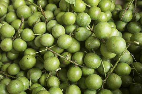 Mamoncillo delicious tropical fruit