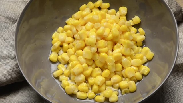 Zea mays Gugaruz ᏎᎷ 粟米 トウモロコシ Եգիպտացորեն मकै Kukorica n&ouml;v&eacute;nyfaj 옥수수 በቆሎ Kukurydza zwyczajna Welschkann ข้าวโพด 玉米