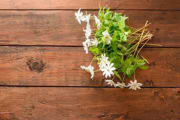 Bouquet of flowers  snowdrop Anemone
