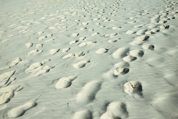 Footprints on the sand. Concept of life and travel