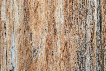 Rough old rustic wooden