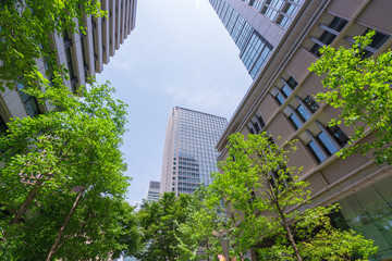 Fototapeta na wymiar 東京　丸の内　高層ビル　新緑