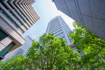 東京　丸の内　高層ビル　新緑