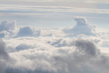 the mist at the mountain in raining morning