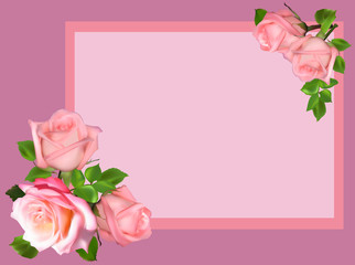 pink frame with five rose blooms