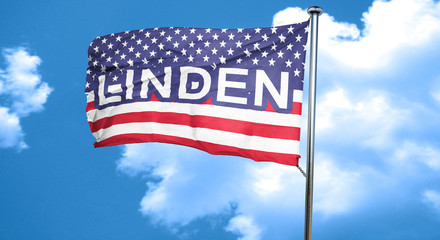 linden, 3D rendering, city flag with stars and stripes