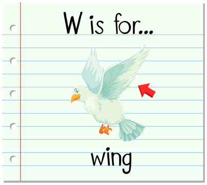 Flashcard letter W is for wing
