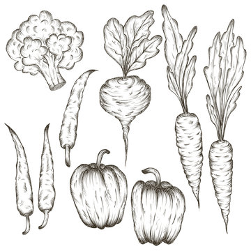 hand drawn vegetables icon set sketch in black lines