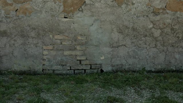 Piccola bambina bionda cammina davanti a un muro a Roma, Italia, Europa