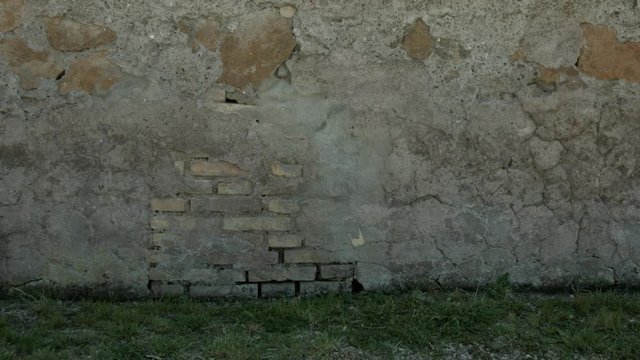 Piccola bambina bionda cammina davanti a un muro a Roma, Italia, Europa
