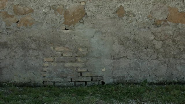 Piccola bambina bionda cammina davanti ad un muro a Roma, Italia, Europa