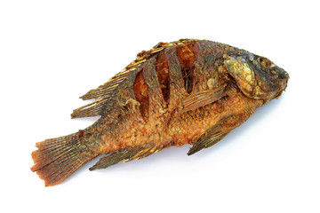 Fried Tilapia fish fried isolated on white background