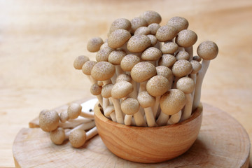 brown shimeji mushrooms or enokitake mushrooms in wooden bowl, fresh shimeji mushrooms