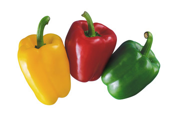 Pepper Isolated / Fresh Pepper Isolated on White Background 