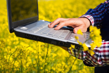 farmer inspect quality of canola field