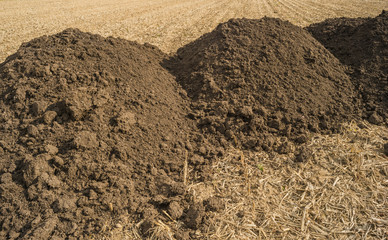 Drei Haufen reife Komposterde für die biologische Landwirtschaft auf einem Stoppelfeld
Three piles mature compost for organic farming on a field