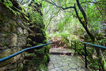 Touristic footpath in forest among limestones rocks