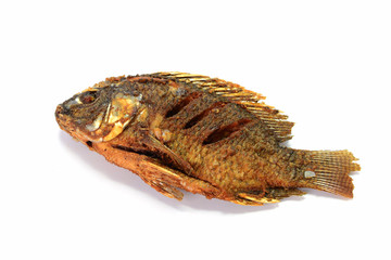 Fried Tilapia fish fried isolated on white background