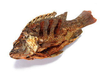 Fried Tilapia fish fried isolated on white background