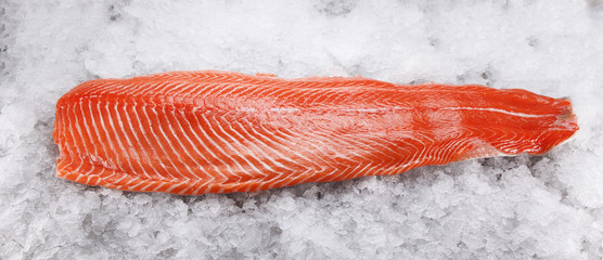 Salmon fillet on ice