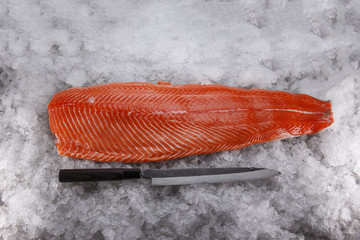 Salmon fillet on ice