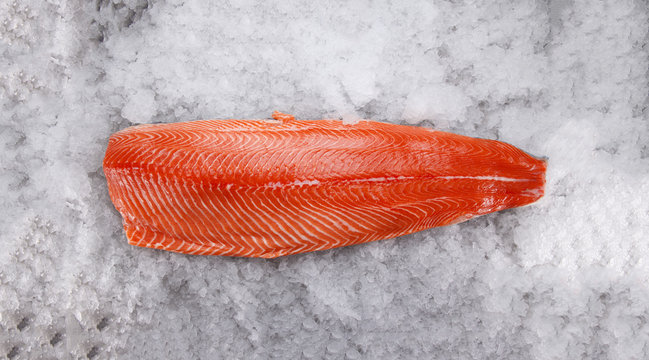 Salmon fillet on ice