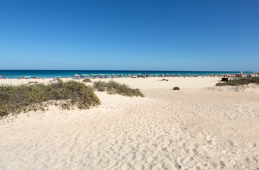 Fototapeta na wymiar Tourists rest on Corralejo Beach on Fuerteventura, Canary Islands