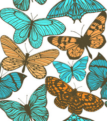 vector colorful background with butterflies