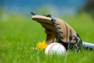 Golf club and ball in grass