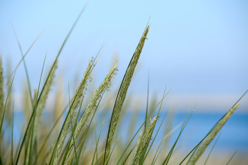 cote atlantique francaise