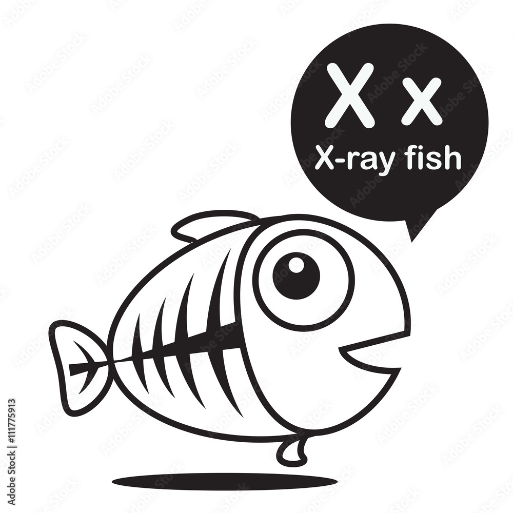 Wall mural X X-ray fish cartoon and alphabet for children to learning and c