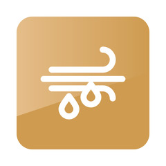 Wind Rain icon. Meteorology. Weather