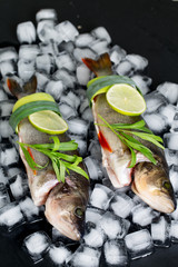 Cooking background, fresh fish on the ice cubes