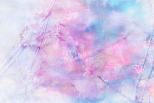 Cherry blossom flowers image mix with painted watercolor on pape