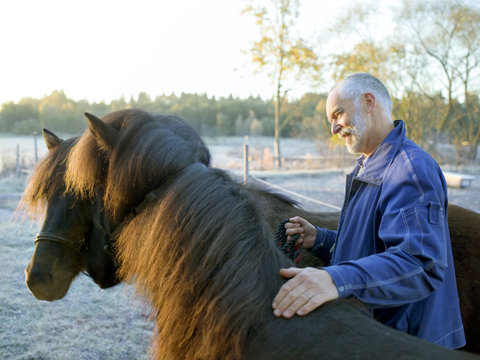 A man and two horses.