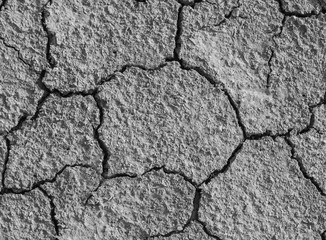 dry and cracked soil