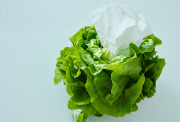 Eating  vegetables can prevent colds.
Tissues in butter lettuce on white background.