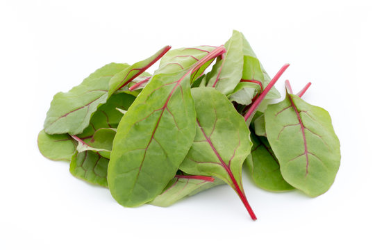 Fresh leaf beet root isolated on white background.