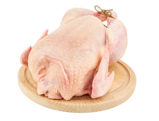 raw chicken corp