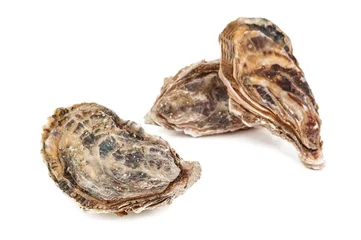 Selbstklebende Fototapeten raw delicious oysters © Volodymyr Shevchuk