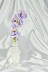 Lilac and vase