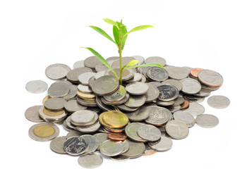 Plant growing out of silver coins isolated on white