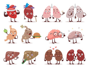 Human organs characters vector illustration.