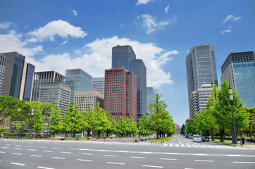 東京　新緑の日比谷通りと丸の内オフィスビル街