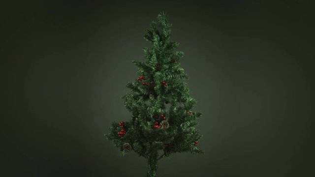 christmas tree isolated on black background