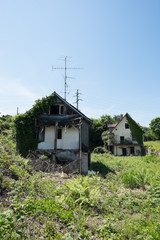 Fototapeta na wymiar Alte Baufällige Häuser am See mit Wiese und Baum